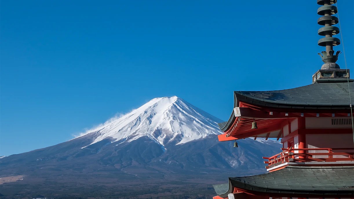 ⛩️ 스루가 국 총사 시즈오카 센겐 신사 (스루가노쿠니소샤 시즈오카 센겐진자) 이미지 8
